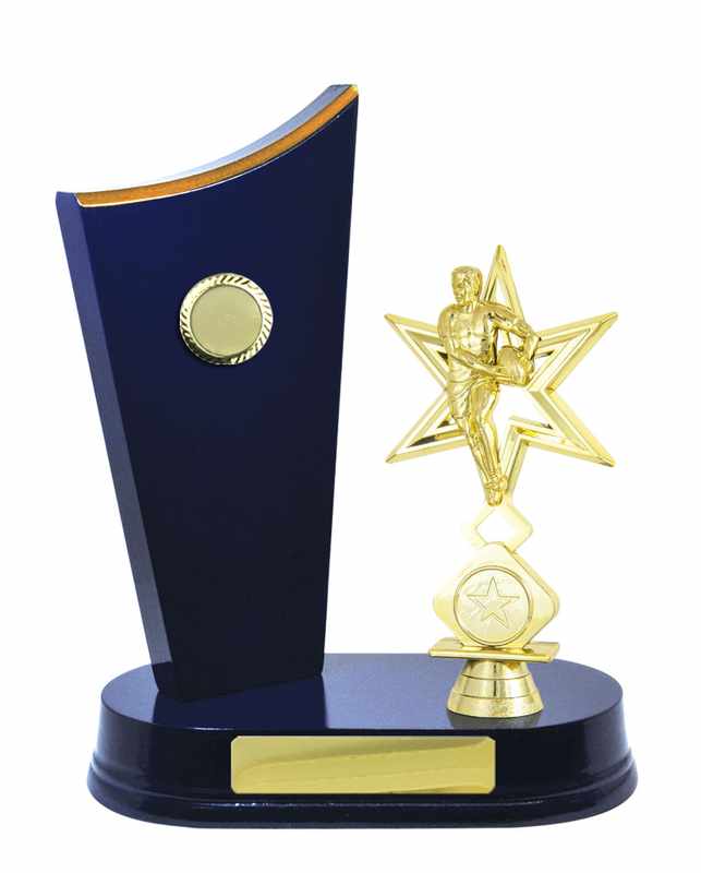 Accumulo di legname Rugby