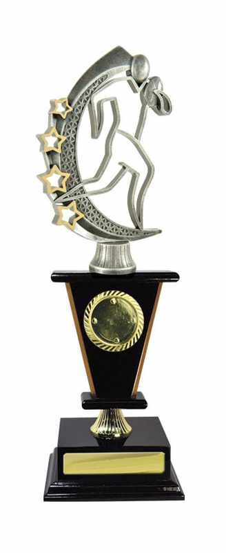 Accumulo di legname Rugby