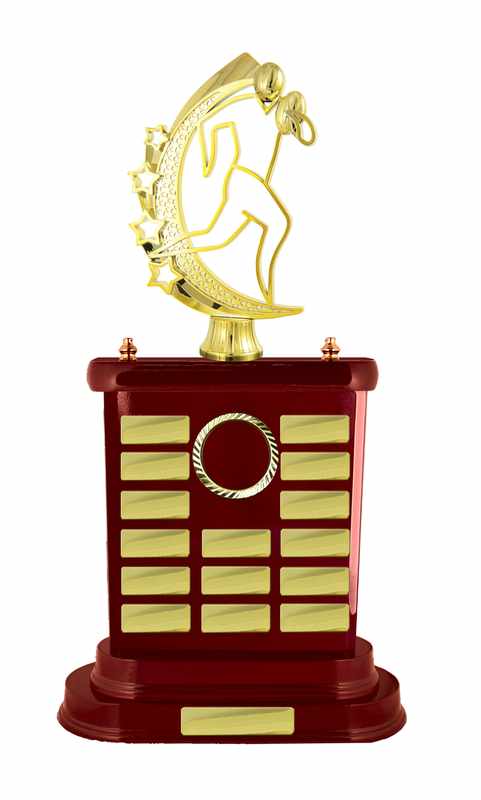 Accumulo di legname Rugby