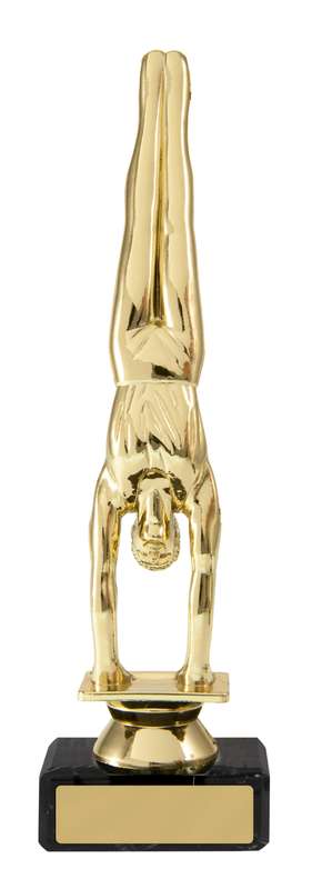 Palestra maschile sulla base