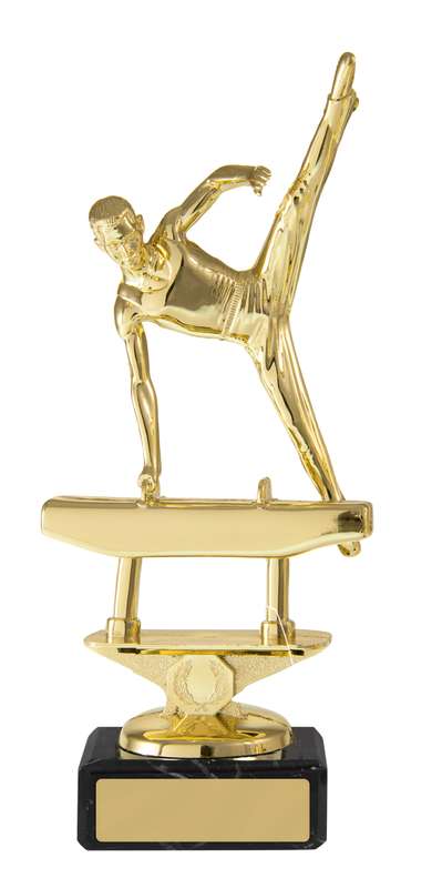 Palestra maschile sulla base