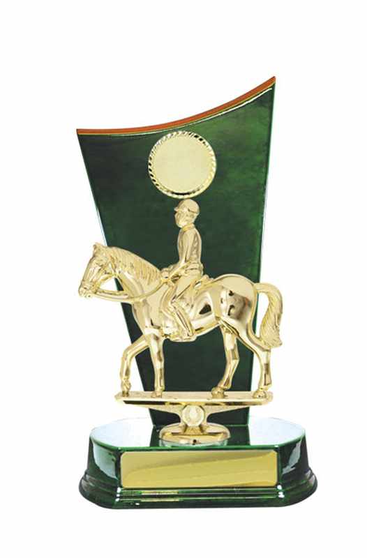 Cavalli ad accumulo di legname Maschio