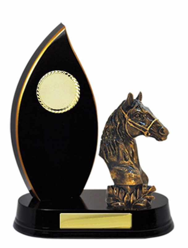 Cavalli ad accumulo di legname Maschio