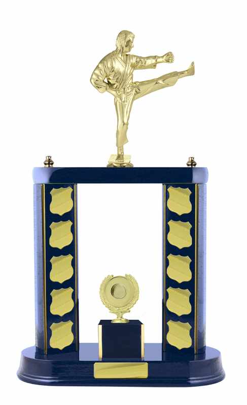 Arti marziali Timber Buildup