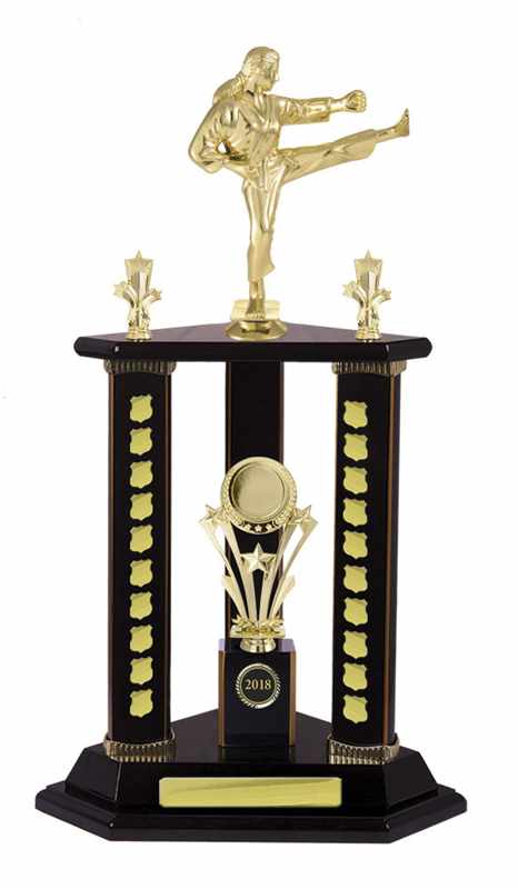 Arti marziali Timber Buildup