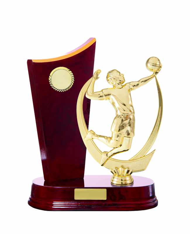 Pallavolo Timber Buildup