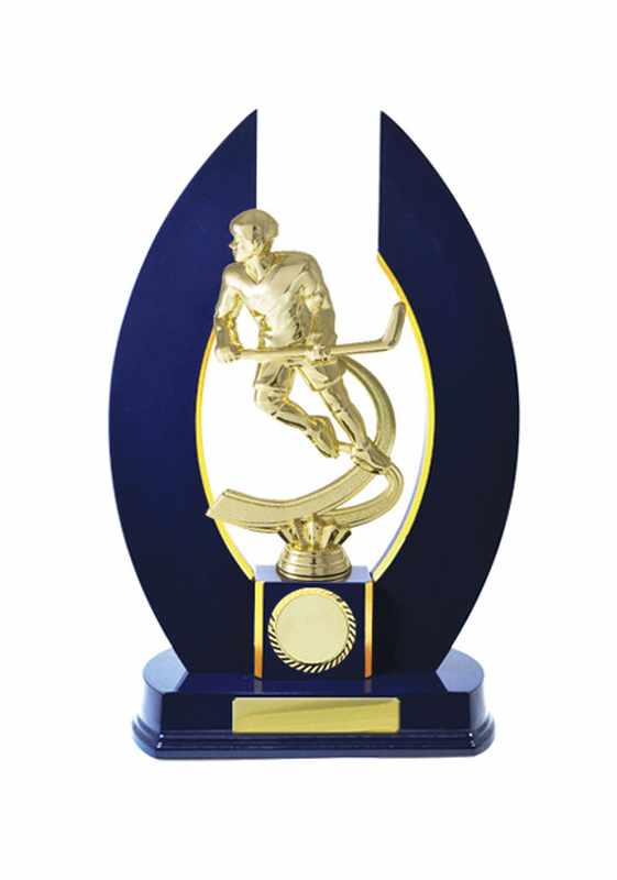 Hockey su ghiaccio con accumulo di legname