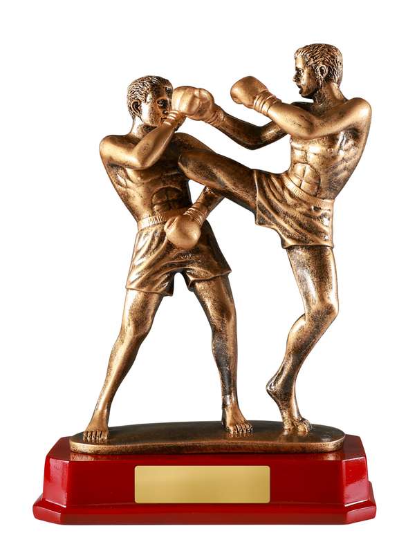 Boxe a doppio calcio