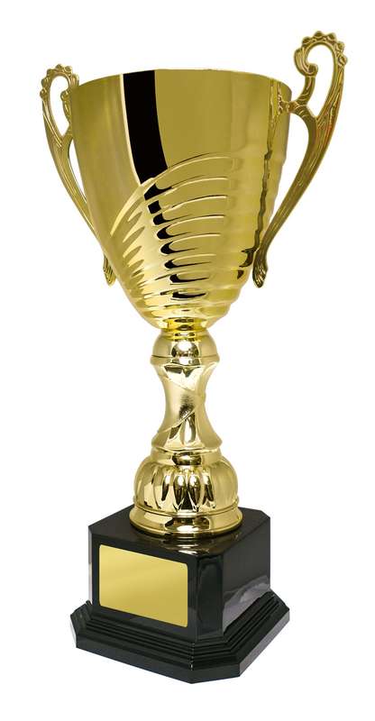 La guida completa alle coppe per trofei: Stili, usi e scelta del premio giusto